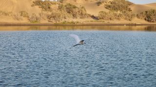 2023-11-GranCan-Maspalomas_Oasis-22.jpg